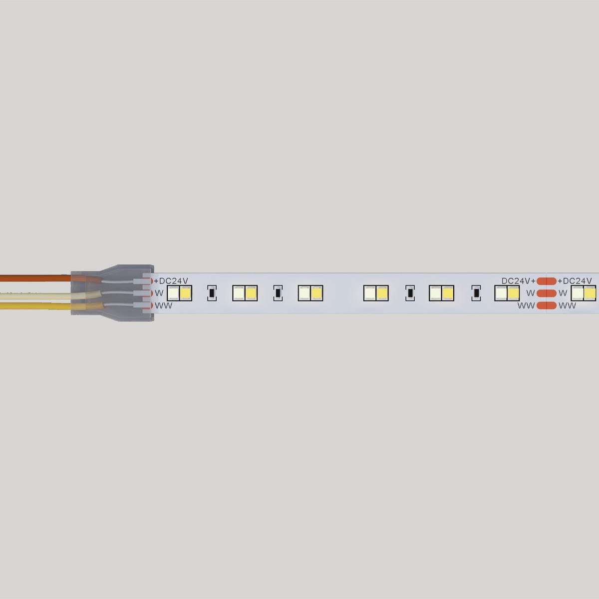 Verum Flex SMD Tuneable White 10mm 24W 120 LEDs p/m Ra90 IP20