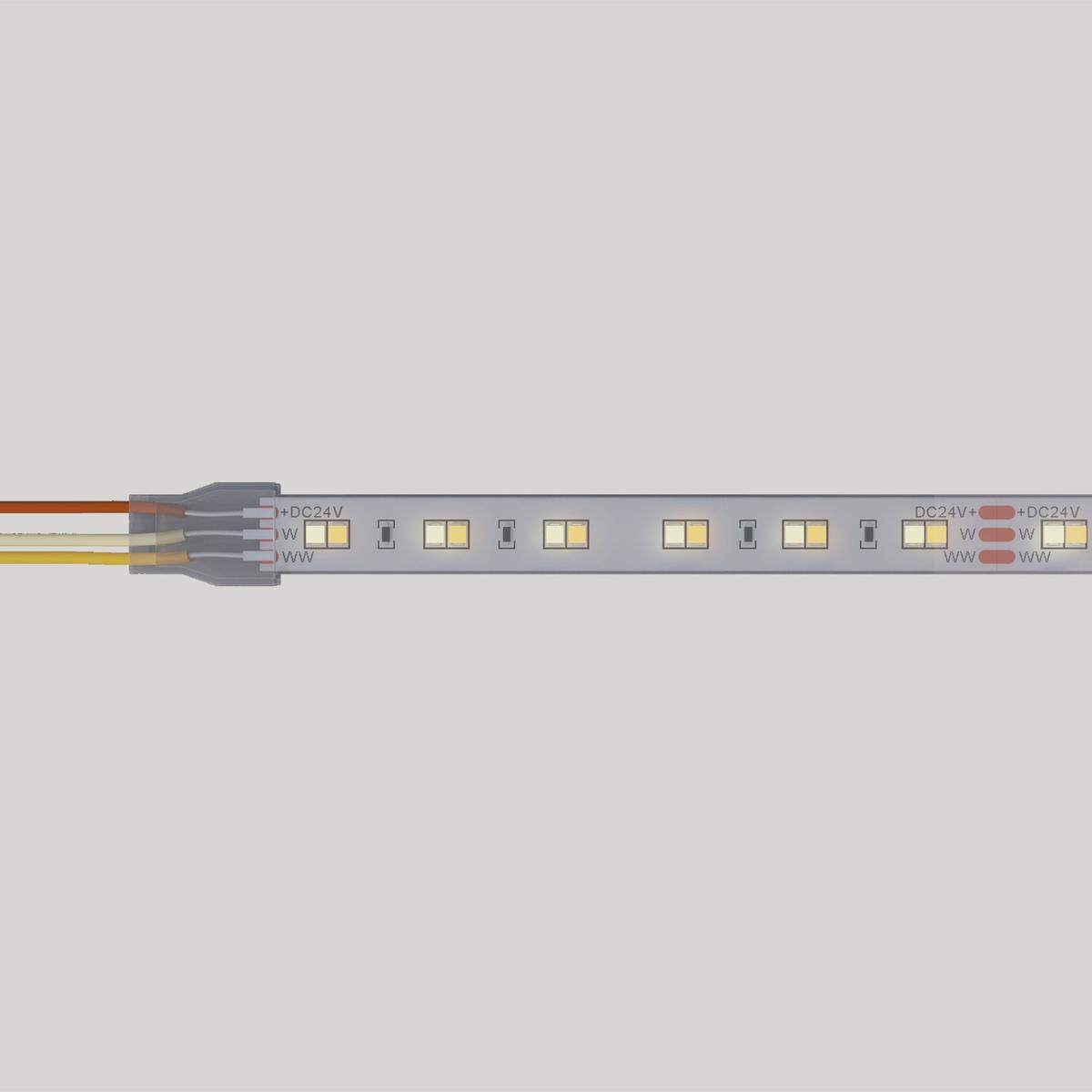 Verum Flex SMD Tuneable White 10mm 24W 120 LEDs p/m Ra90 IP65